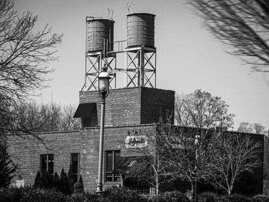 Flemington NJ Photographer