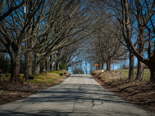 Flemington NJ Photographer